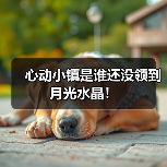 心动小镇是谁还没领到月光水晶！（图2）