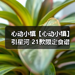 心动小镇【心动小镇】引星河 21款限定食谱 全攻略