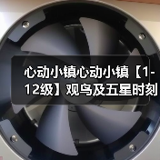 心动小镇心动小镇【1-12级】观鸟及五星时刻攻略(图4) 心动小镇心动小镇【1-12级】观鸟及五星时刻攻略(图4)