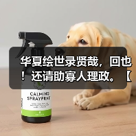 华夏绘世录贤哉，回也！还请助寡人理政。【鲁国政务选择】（图1）