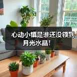 心动小镇是谁还没领到月光水晶!(图1) 心动小镇是谁还没领到月光水晶!(图1)