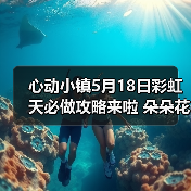 心动小镇5月18日彩虹天必做攻略来啦 朵朵花束位置(图4) 心动小镇5月18日彩虹天必做攻略来啦 朵朵花束位置(图4)