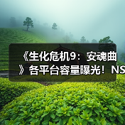 《生化危机9:安魂曲》各平台容量曝光!NS2版仅30G(图1) 《生化危机9:安魂曲》各平台容量曝光!NS2版仅30G(图1)