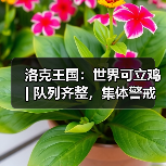 洛克王国:世界可立鸡 | 队列齐整,集体警戒(图3) 洛克王国:世界可立鸡 | 队列齐整,集体警戒(图3)