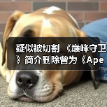 疑似被切割 《巅峰守卫》简介删除曾为《Apex英雄》制作团队（图3）