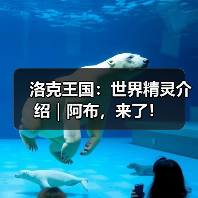 洛克王国：世界精灵介绍｜阿布，来了！（图2）