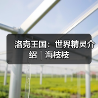 洛克王国:世界精灵介绍|海枝枝(图4) 洛克王国:世界精灵介绍|海枝枝(图4)
