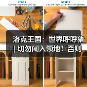 洛克王国：世界呼呼猪 | 切勿闯入领地！否则会飞速冲向你