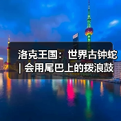 洛克王国：世界古钟蛇 | 会用尾巴上的拨浪鼓陪孩子们玩耍（图3）
