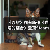 《以撒》作者新作《喵喵的结合》登顶Steam销量榜(图4) 《以撒》作者新作《喵喵的结合》登顶Steam销量榜(图4)