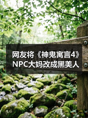 网友将《神鬼寓言4》NPC大妈改成黑美人 顺眼多了！
