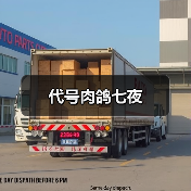 代号肉鸽七夜