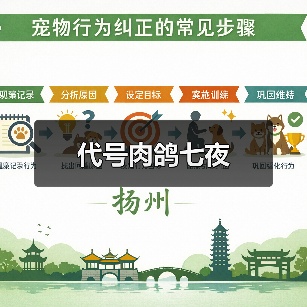 代号肉鸽七夜（图4）