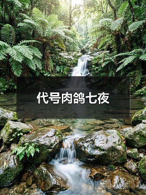 代号肉鸽七夜（图2）