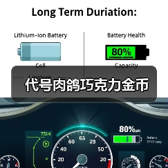 代号肉鸽巧克力金币（图4）