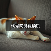 代号肉鸽复读机（图4）