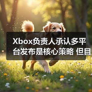 Xbox负责人承认多平台发布是核心策略 但目前还有不足(图3) Xbox负责人承认多平台发布是核心策略 但目前还有不足(图3)