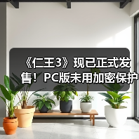 《仁王3》现已正式发售!PC版未用加密保护(图3) 《仁王3》现已正式发售!PC版未用加密保护(图3)