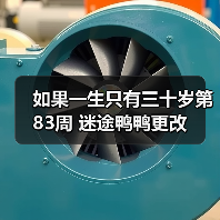 如果一生只有三十岁第83周 迷途鸭鸭更改(图2) 如果一生只有三十岁第83周 迷途鸭鸭更改(图2)