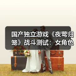 国产独立游戏《夜莺归笼》战斗测试：女角色死的越多穿的越少（图3）