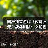 国产独立游戏《夜莺归笼》战斗测试：女角色死的越多穿的越少（图2）