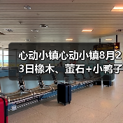 心动小镇心动小镇8月23日橡木、萤石+小鸭子位置(图3) 心动小镇心动小镇8月23日橡木、萤石+小鸭子位置(图3)