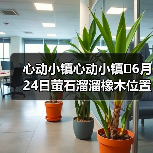 心动小镇心动小镇⭐6月24日萤石溜溜橡木位置攻略(图4) 心动小镇心动小镇⭐6月24日萤石溜溜橡木位置攻略(图4)