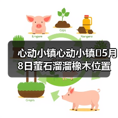 心动小镇心动小镇⭐5月8日萤石溜溜橡木位置攻略（图2）
