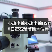 心动小镇心动小镇⭐5月8日萤石溜溜橡木位置攻略（图4）