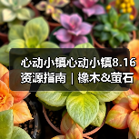 心动小镇心动小镇8.16资源指南｜橡木&萤石点位速码
