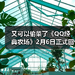 又可以偷菜了《QQ经典农场》2月6日正式回归(图2) 又可以偷菜了《QQ经典农场》2月6日正式回归(图2)