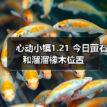 心动小镇1.21 今日萤石和溜溜橡木位置(图3) 心动小镇1.21 今日萤石和溜溜橡木位置(图3)