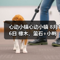 心动小镇心动小镇 8月16日 橡木、萤石+小鸭子