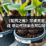 《轮回之兽》非魂类游戏 非动作玩家也可以轻松上手(图3) 《轮回之兽》非魂类游戏 非动作玩家也可以轻松上手(图3)