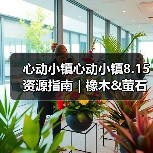 心动小镇心动小镇8.15资源指南｜橡木&萤石点位速码（图3）