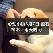 心动小镇8月7日 萤石﹣橡木﹣雨天时间(图4) 心动小镇8月7日 萤石﹣橡木﹣雨天时间(图4)