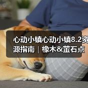 心动小镇心动小镇8.2资源指南｜橡木&萤石点位速码