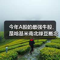 今年A股的最强牛股，是哈基米南北绿豆概念股