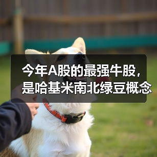 今年A股的最强牛股，是哈基米南北绿豆概念股（图2）