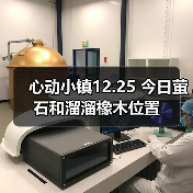 心动小镇12.25 今日萤石和溜溜橡木位置（图3）