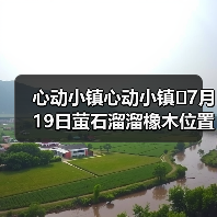 心动小镇心动小镇⭐7月19日萤石溜溜橡木位置攻略