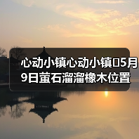 心动小镇心动小镇⭐5月9日萤石溜溜橡木位置攻略