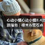 心动小镇心动小镇8.4资源指南｜橡木&萤石点位速码