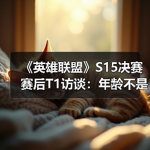 《英雄联盟》S15决赛赛后T1访谈：年龄不是问题（图4）