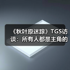 《秋叶原迷踪》TGS访谈：所有人都是主角的群像剧