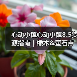心动小镇心动小镇8.5资源指南｜橡木&萤石点位速码（图4）