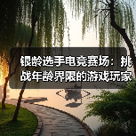 银龄选手电竞赛场：挑战年龄界限的游戏玩家（图4）