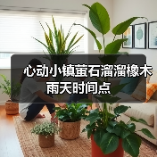 心动小镇萤石溜溜橡木雨天时间点(图2) 心动小镇萤石溜溜橡木雨天时间点(图2)