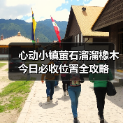 心动小镇萤石溜溜橡木今日必收位置全攻略