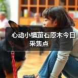 心动小镇萤石原木今日采集点(图2) 心动小镇萤石原木今日采集点(图2)